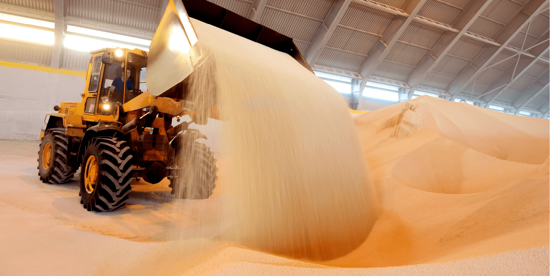 Трактор высыпает сырье