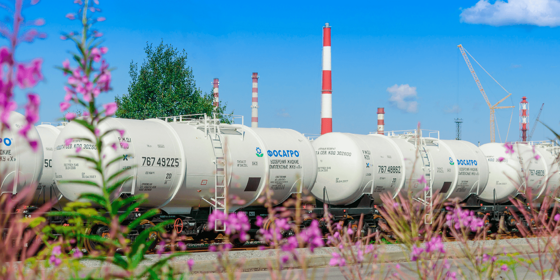 Принципы ведения закупочной деятельности