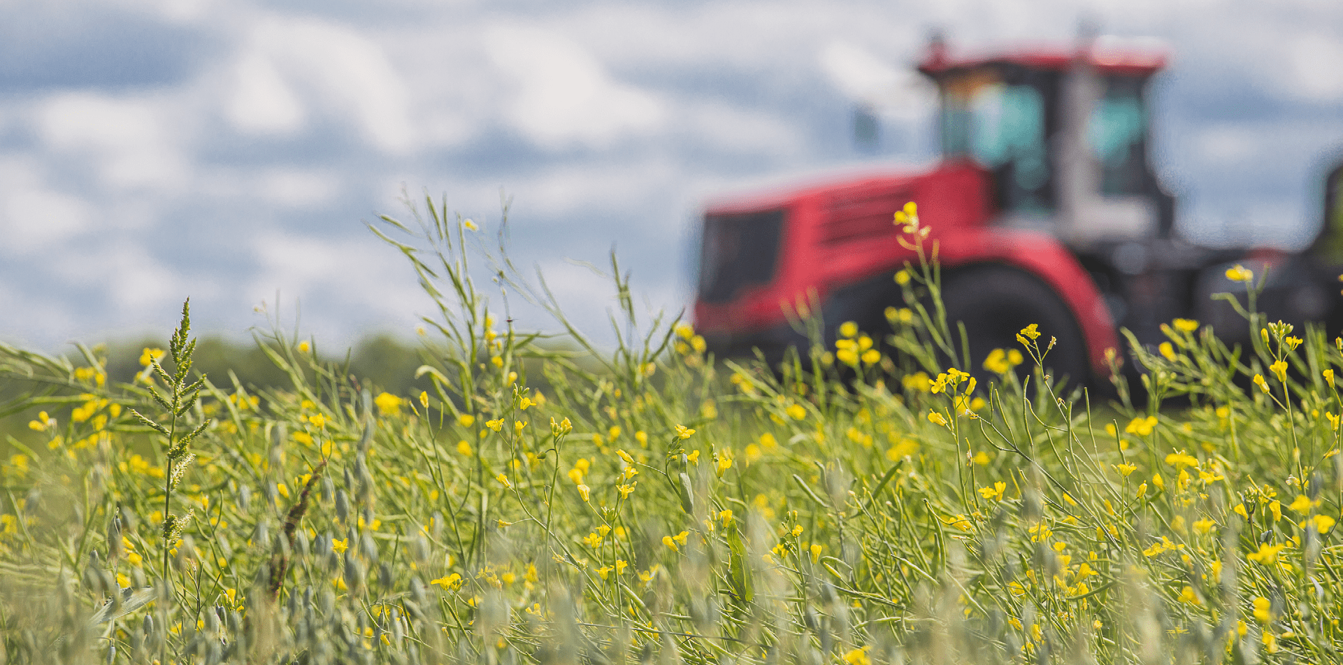 Основные показатели закупочной деятельности