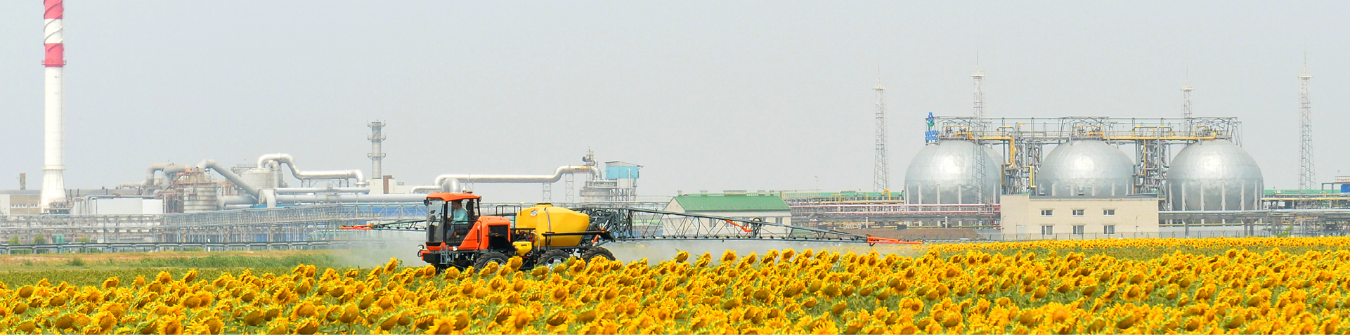 Результат приоритизации