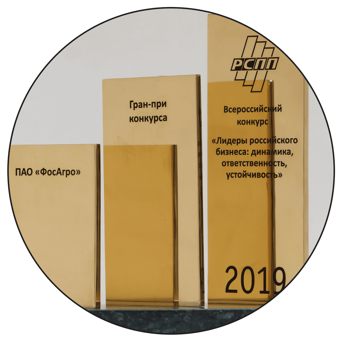 Гран-При конкурса «Лидеры российского бизнеса: динамика и ответственность-2019»