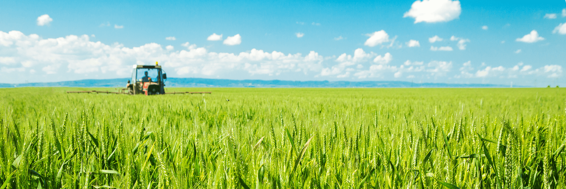 Расширение присутсвия на премиальных рынках