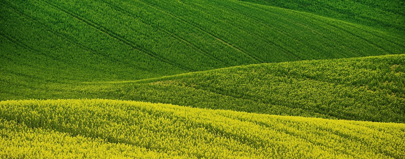 Отчет по экологии