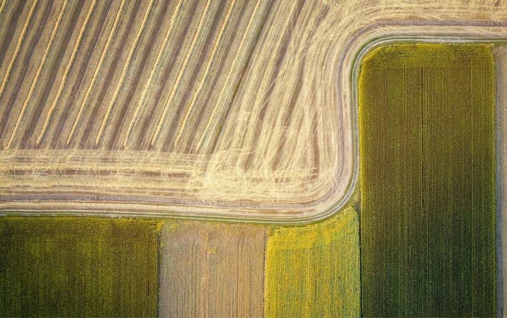 Стратегический <span>отчет</span>